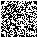 QR code with Central Tree Service contacts