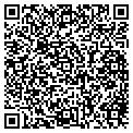 QR code with Lids contacts