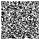 QR code with Pricing Solutions contacts