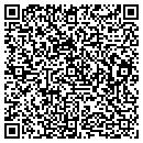 QR code with Concepts In Travel contacts