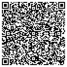 QR code with Babinec DT & Sons Farms contacts