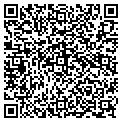 QR code with Haldex contacts