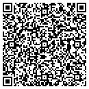 QR code with Purdy Lisa E contacts
