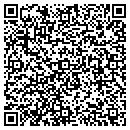 QR code with Pub Froggy contacts