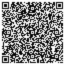 QR code with Baldy's Allbike contacts