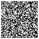 QR code with Professional Concepts contacts