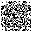 QR code with Pulsar Electronics Inc contacts