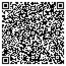 QR code with Bizarre Bazaar contacts