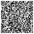QR code with Proto Solutions contacts