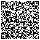 QR code with Blumfield Twp Office contacts