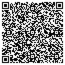 QR code with Cecil's Construction contacts