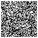 QR code with Precision Digs contacts