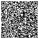 QR code with Borgsdorf Charles W contacts