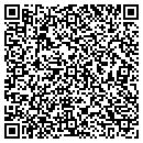 QR code with Blue Room Web Design contacts