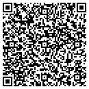 QR code with Pyramid Const Co contacts