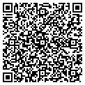 QR code with Wilcox contacts