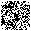 QR code with Pulcifers Siding Co contacts