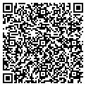 QR code with Columns contacts