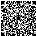 QR code with Carlenes Studio 401 contacts