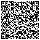QR code with Project Straight contacts