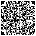 QR code with C Cory contacts