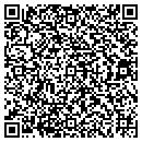 QR code with Blue Lake Gallery Ltd contacts