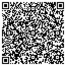 QR code with Pro Tech Tool Inc contacts