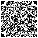 QR code with Carlson Lavine Inc contacts