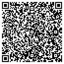 QR code with Pro Systems Corp contacts