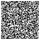 QR code with Pulse Innovation LLC contacts