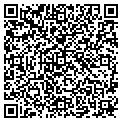 QR code with Y Club contacts