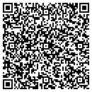 QR code with Psr Automation Inc contacts