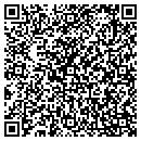 QR code with Celadon Systems Inc contacts