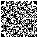 QR code with Cyclonic Systems contacts
