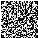 QR code with Pulaski Club contacts