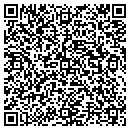 QR code with Custom Cribbage Inc contacts