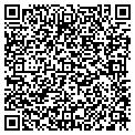QR code with Y M C A contacts