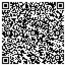 QR code with Princeton Speedway contacts
