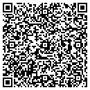 QR code with Bricelyn Pub contacts