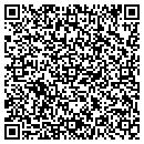 QR code with Carey Systems Inc contacts