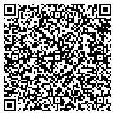 QR code with Purfeerst Ag contacts