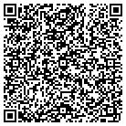 QR code with Professional AV Services contacts