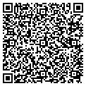 QR code with Bashas' contacts