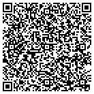 QR code with Bris Handyman Service contacts