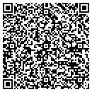 QR code with Premier Corp Service contacts