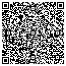 QR code with Carlins Custom Clubs contacts
