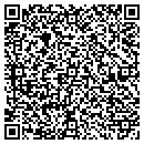 QR code with Carlins Custom Clubs contacts