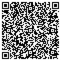 QR code with A M P I contacts