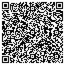 QR code with Public Works contacts