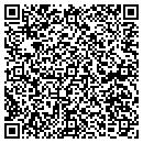 QR code with Pyramid Controls Inc contacts